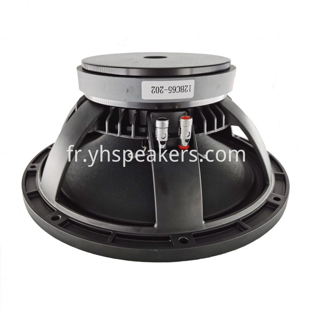 PRO Audio 12 Inch Speaker For Home Theater